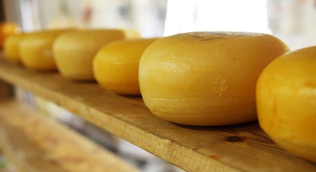 チーズの分類 チーズの分類