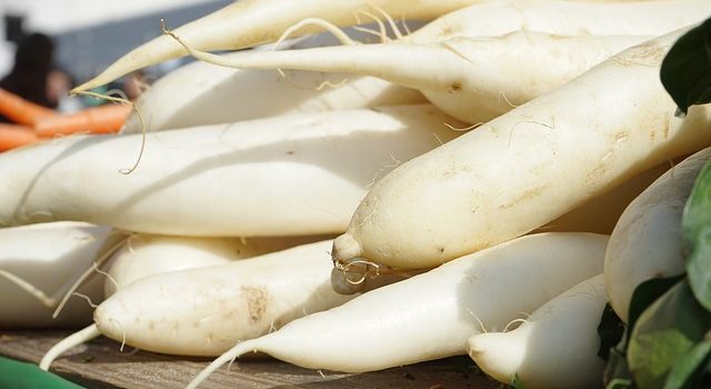 大根を冷凍保存する