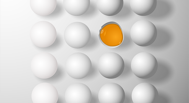 卵焼きに砂糖 卵焼きに砂糖