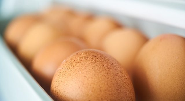 卵が楕円形の理由