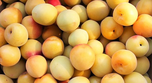 ホームリキュールの褐変 ホームリキュールの褐変