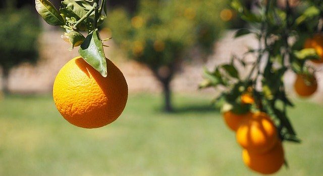 甘酸っぱいについて 甘酸っぱいについて