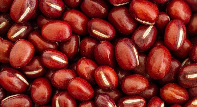 アズキの「渋切り」 アズキの「渋切り」