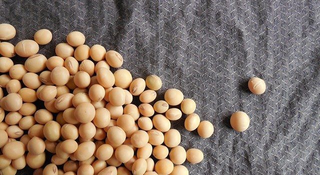 豆を食べると、オナラがでる？