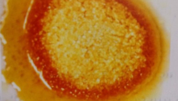 オーブンの設定温度と実際の温度のズレ