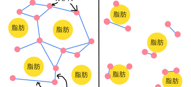 プロセスチーズを加熱しても伸びない理由