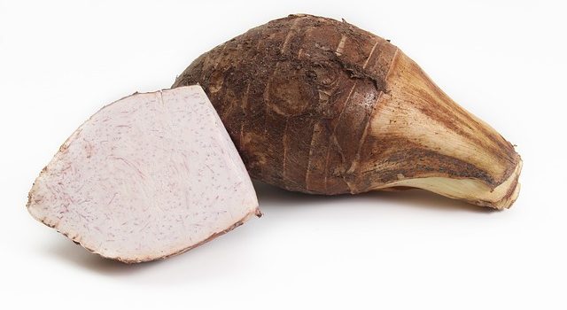 サトイモを煮ても柔らかくならない サトイモを煮ても柔らかくならない