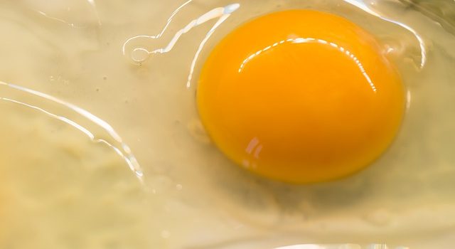 玉子と卵の違い