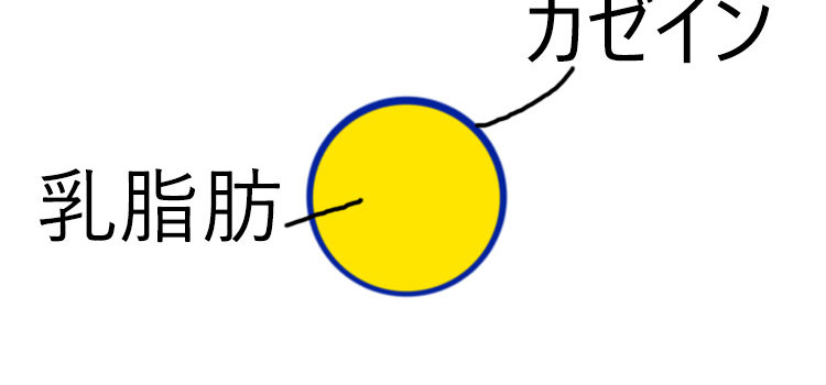 ホイップクリームができる原理