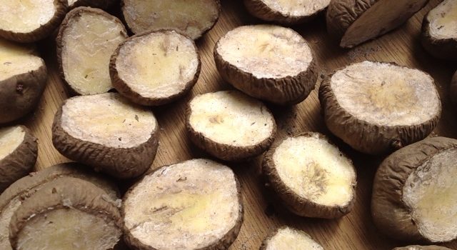 切ったジャガイモにはコルク層ができる 切ったジャガイモにはコルク層ができる