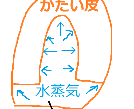 ポップコーン用のトウモロコシ ポップコーン用のトウモロコシ