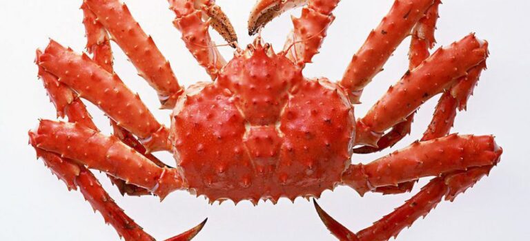 タラバガニのカニ味噌は出回らない