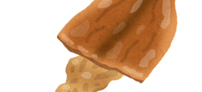 スルメとアタリメ スルメとアタリメ