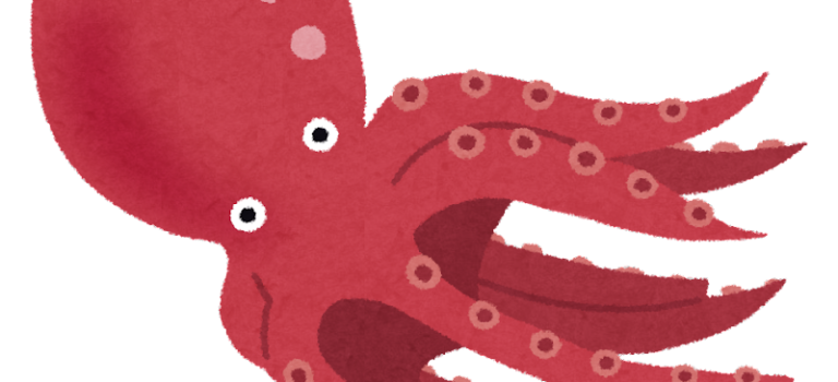 イカやタコの数え方 イカやタコの数え方