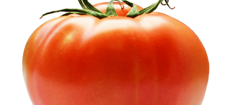 市販のパスタソースが物足りない理由