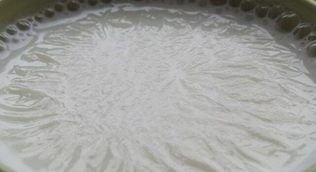 ラムスデン現象とは