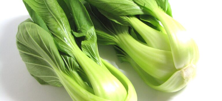 チンゲン菜の見極め方