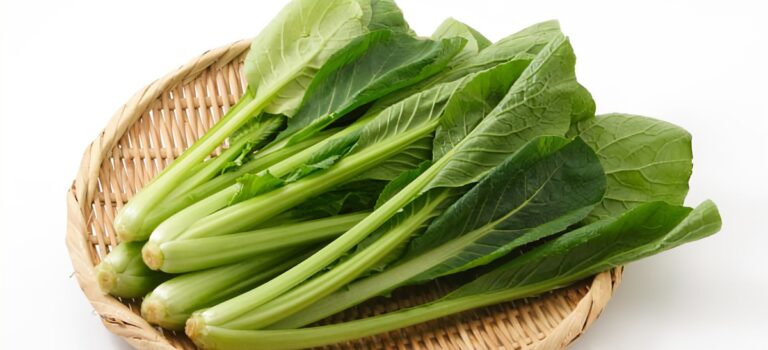 小松菜の見極め方