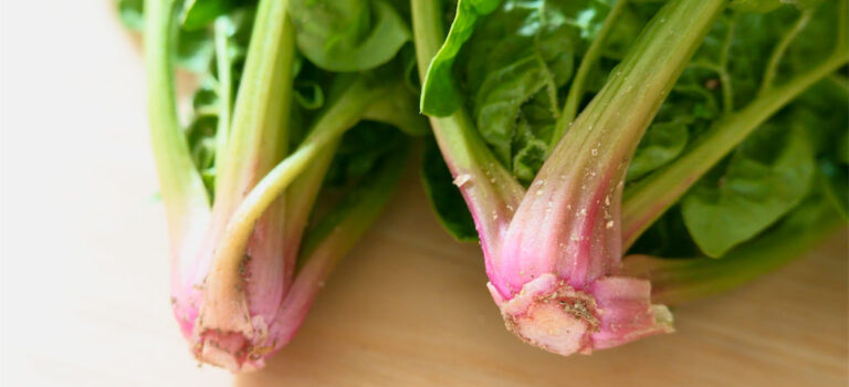 ほうれん草の見極め方