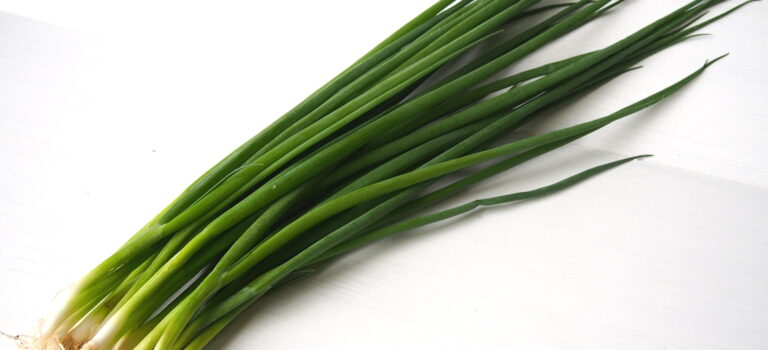 青ネギの見極め方