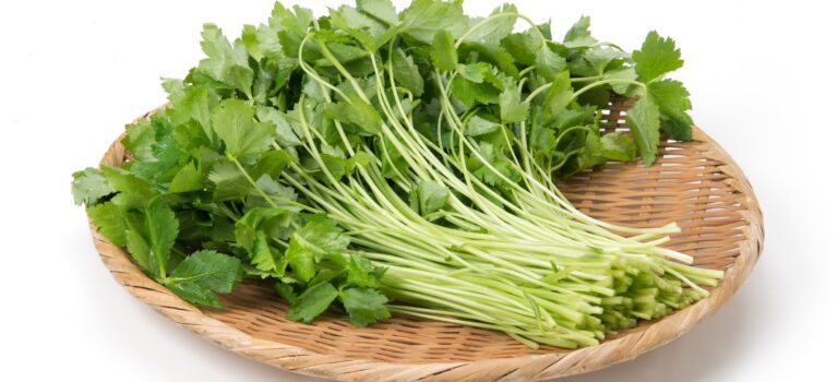 みつばの見極め方