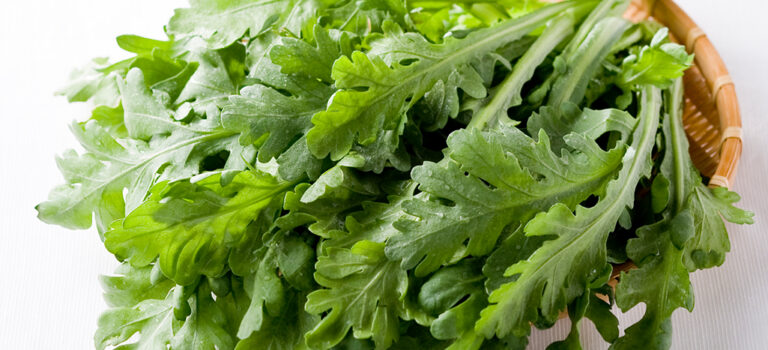 春菊の見極め方