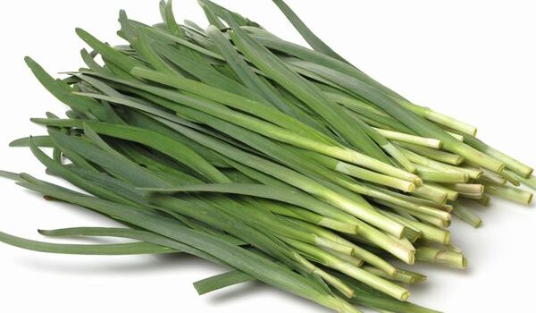 ニラの見極め方