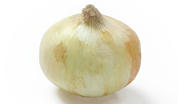 食生心理学-玉ねぎ 食生心理学-玉ねぎ