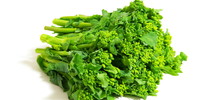 菜の花の見極め方