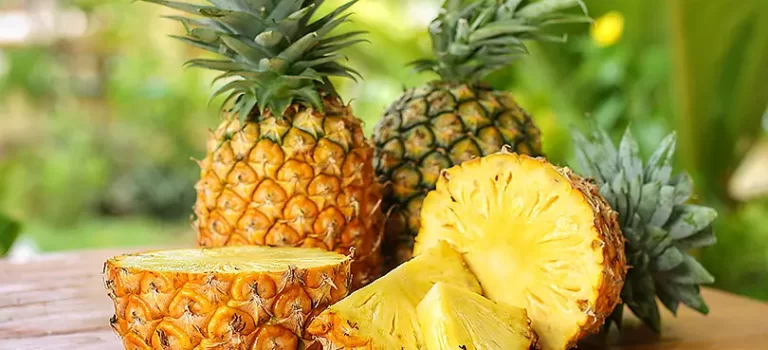 香りの表現は難しい 香りの表現は難しい