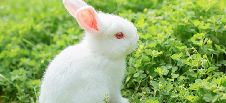 なんとなく嫌いの理由