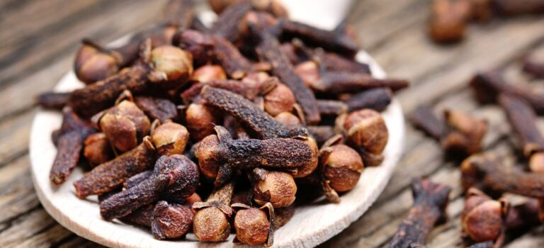 食生心理学-クローブ