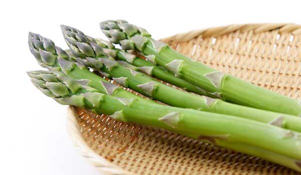 食生心理学-アスパラガス 食生心理学-アスパラガス