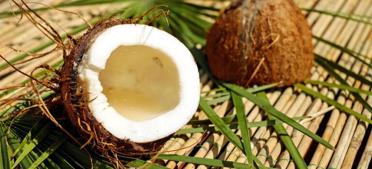 食生心理学-ココナッツクリーム