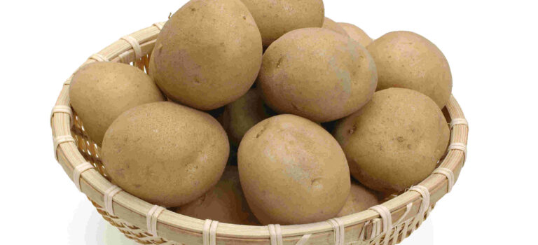 食生心理学-じゃがいも 食生心理学-じゃがいも