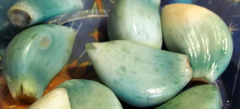 ニンニクが緑色になる